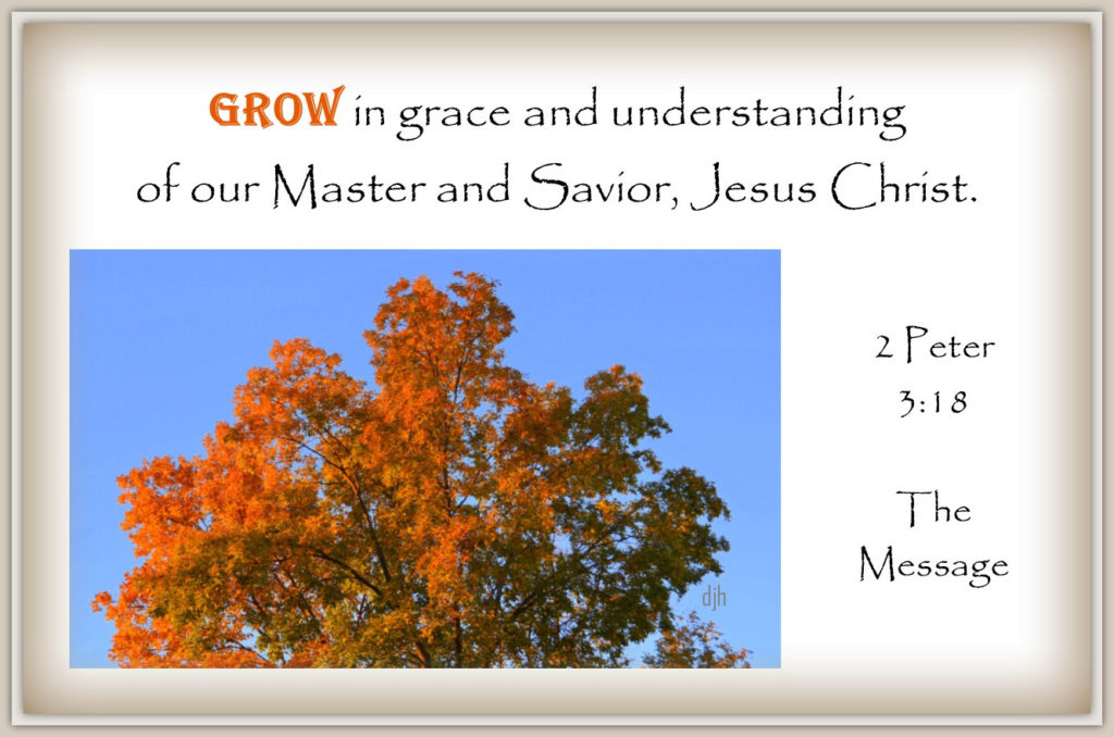 Grow in Grace & Understanding – My Journey – by Doris High