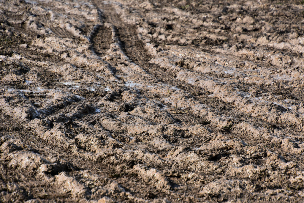 Penryn Mud Sale My Journey by Doris High