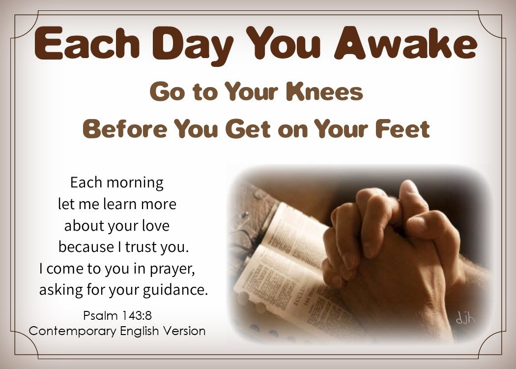 Guidance My Journey By Doris High