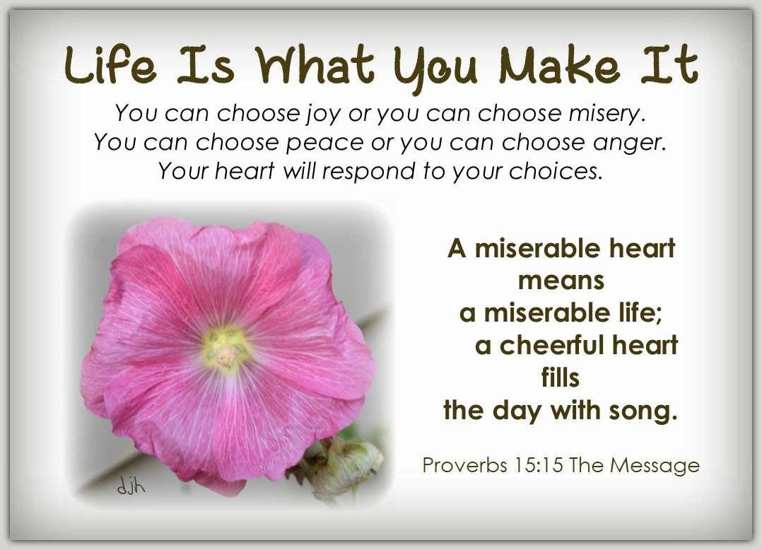 Your Choice My Journey By Doris High