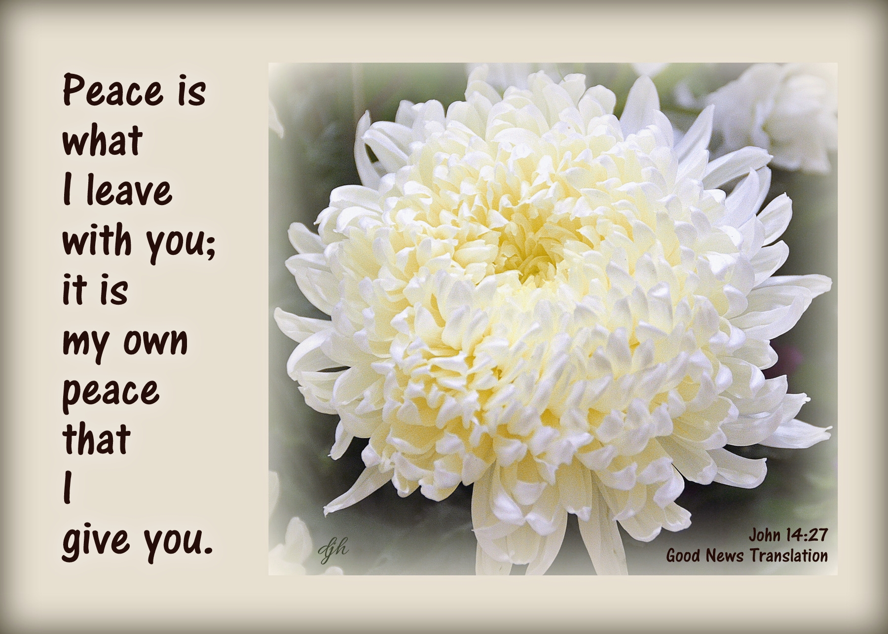 Peace From Jesus My Journey By Doris High