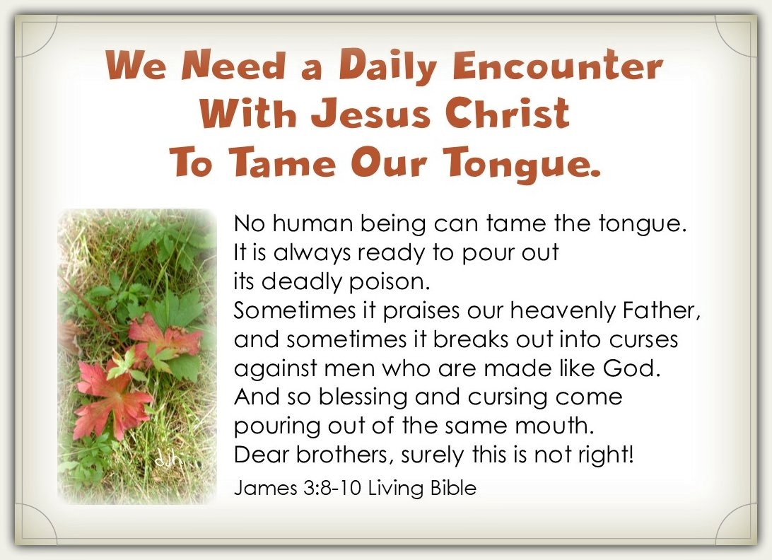 We Need Jesus – Daily – My Journey – by Doris High