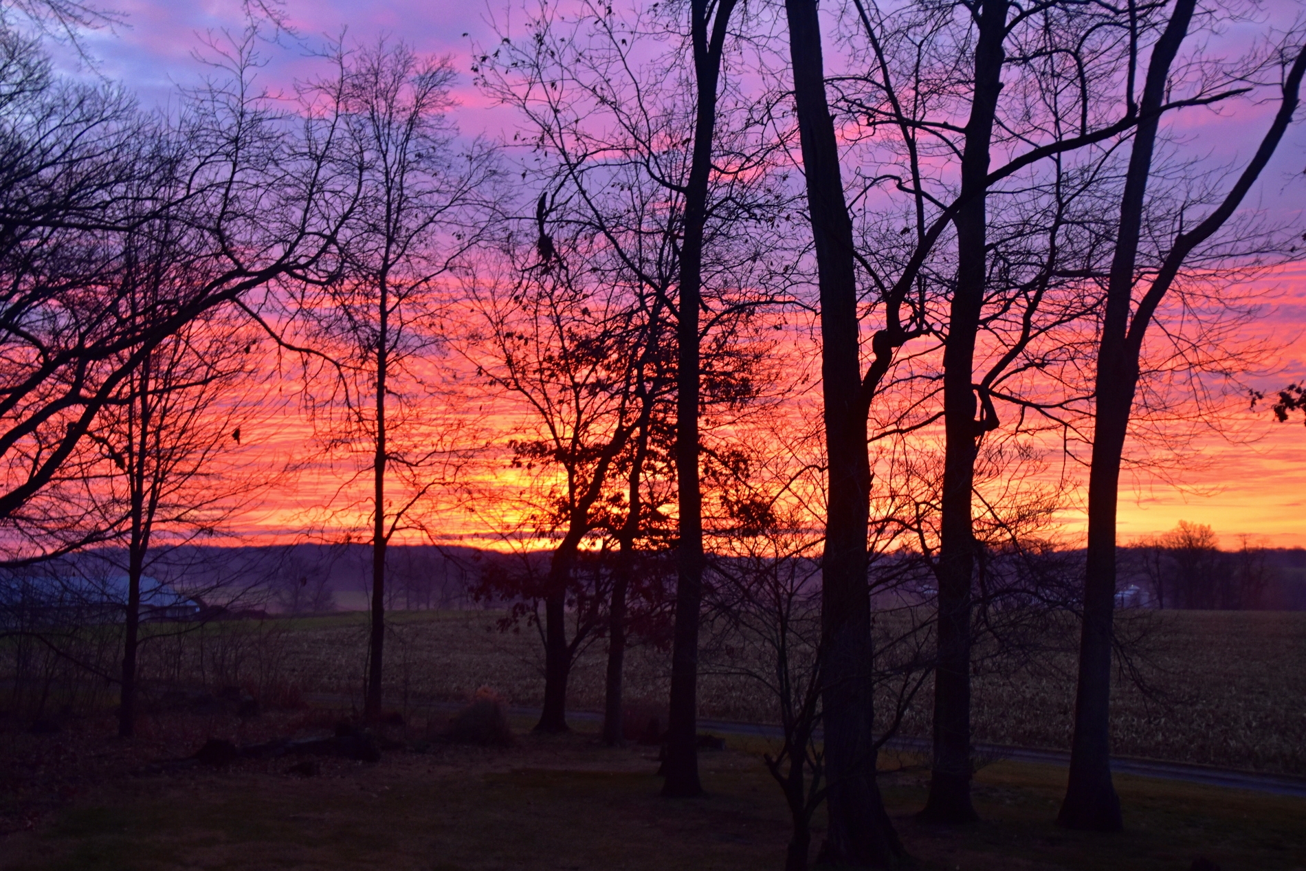 A Beautiful January Sunrise – My Journey – by Doris High