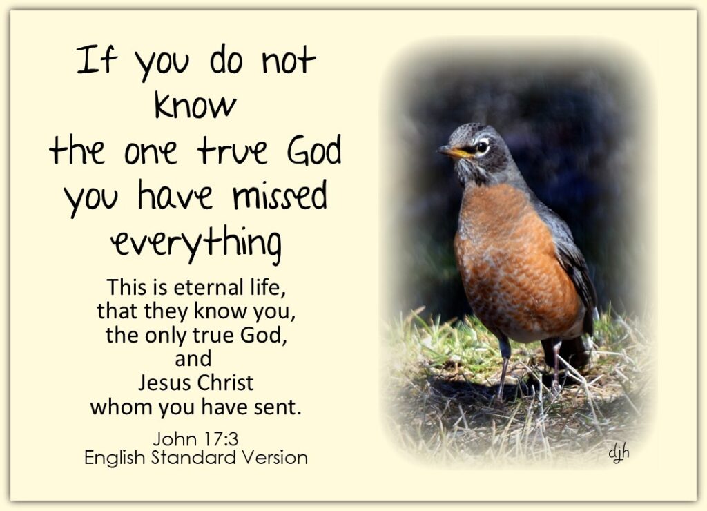 The One True God – My Journey – by Doris High