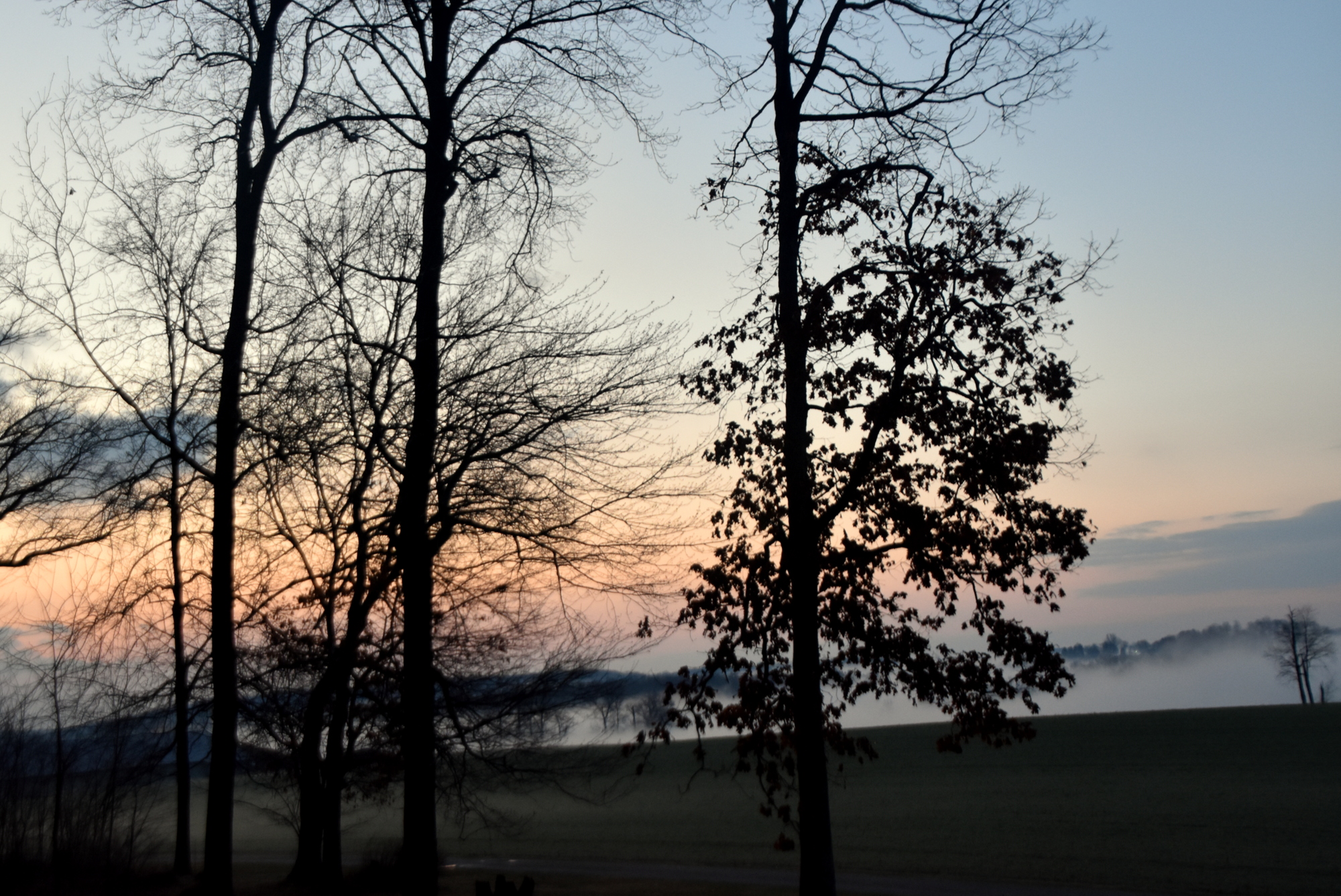 Interesting Layer of Fog in Our Valley – My Journey – by Doris High